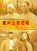 秘密仙女的三个秘密